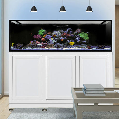 Nuvo INT 200 Aquarium w/ APS Stand--Innovative Marine