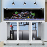 Nuvo INT 200 Aquarium w/ APS Stand--Innovative Marine