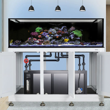 Nuvo INT 200 Aquarium w/ APS Stand--Innovative Marine