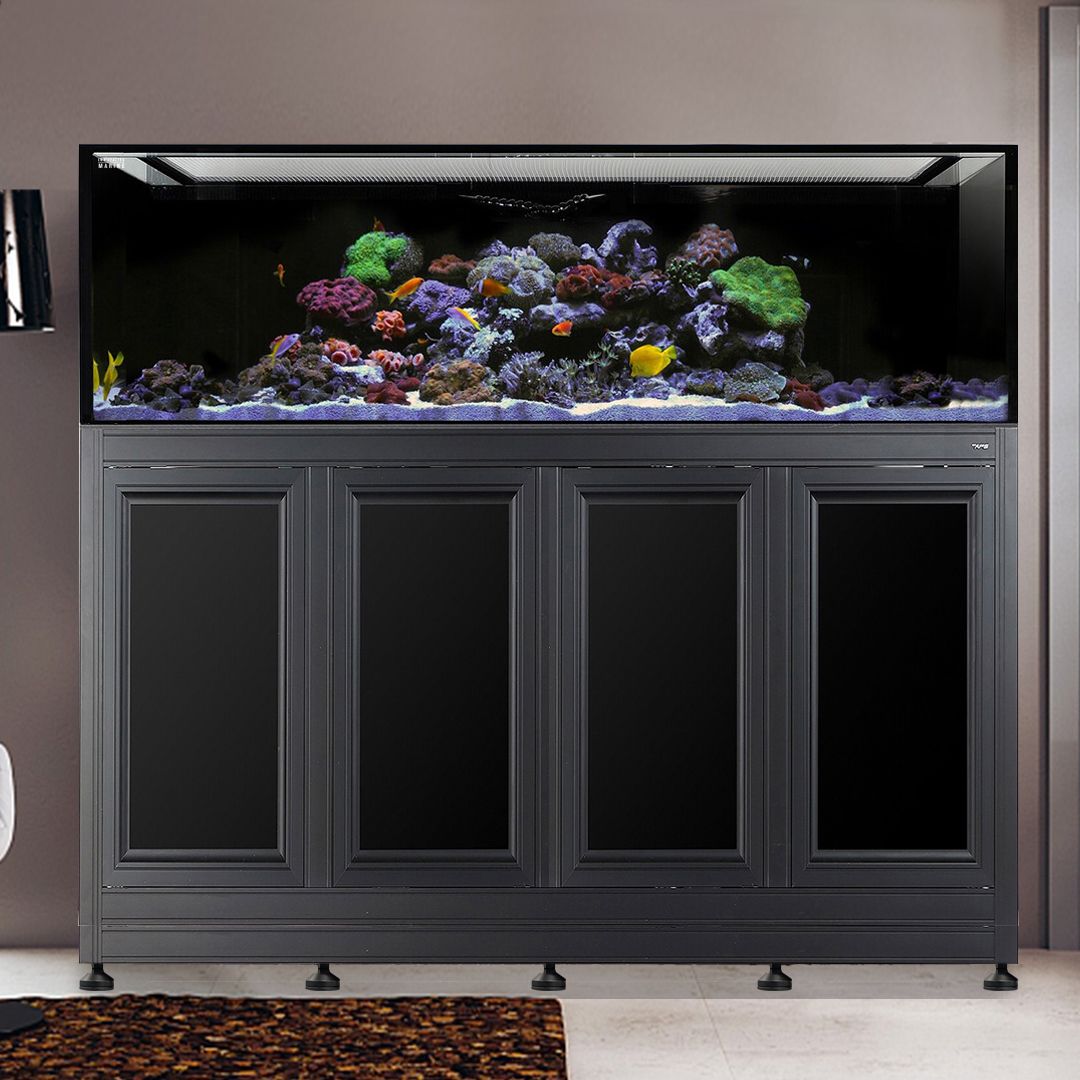 Nuvo INT 240 Aquarium w/ APS Stand--Innovative Marine
