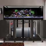 Nuvo INT 240 Aquarium w/ APS Stand--Innovative Marine