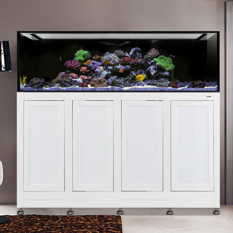 Nuvo INT 240 Aquarium w/ APS Stand--Innovative Marine