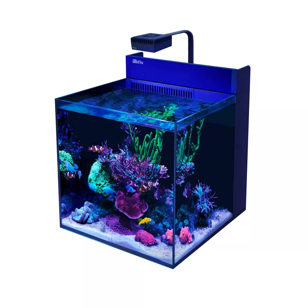 Red Sea MAX NANO G2 XL Aquarium with Cabinet (33 Gallon)