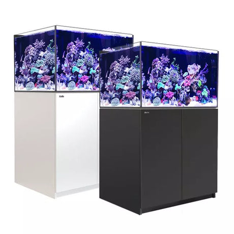 Red Sea Reefer 300 G2+ System (65 gal)