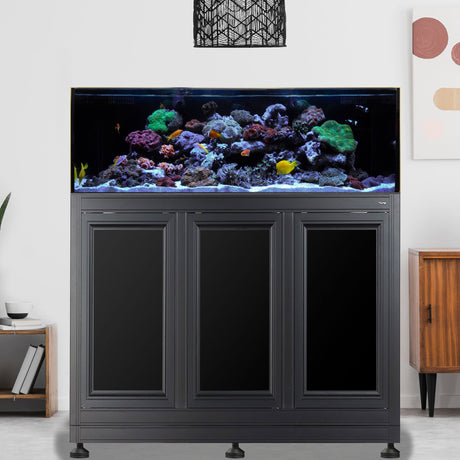 SR Pro 2 80 AIO Aquarium w/ APS Stand--Innovative Marine