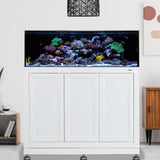 SR Pro 2 80 AIO Aquarium w/ APS Stand--Innovative Marine