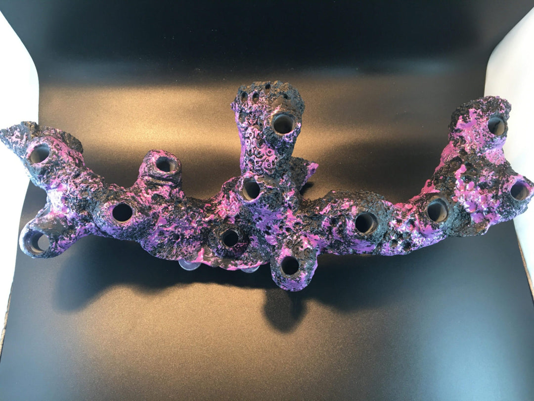 Magnetic 12 Holed Coral Branch Rock Frag Display - Aqua Rocks