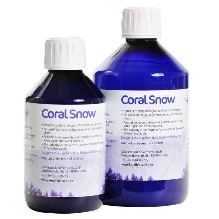 Coral Snow - Korallen-zucht