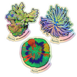 Sticker 3-Pack Set - Limited Edition Holographic (1st Edition)