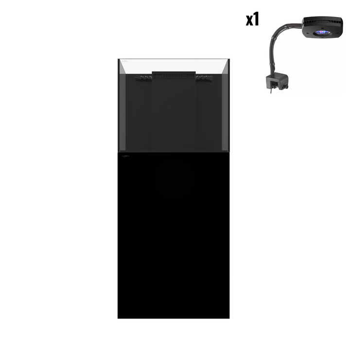 Marine X 60.2 Aquarium Setup (Updated 2023 Version)