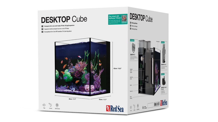Desktop Cube Aquarium Setup