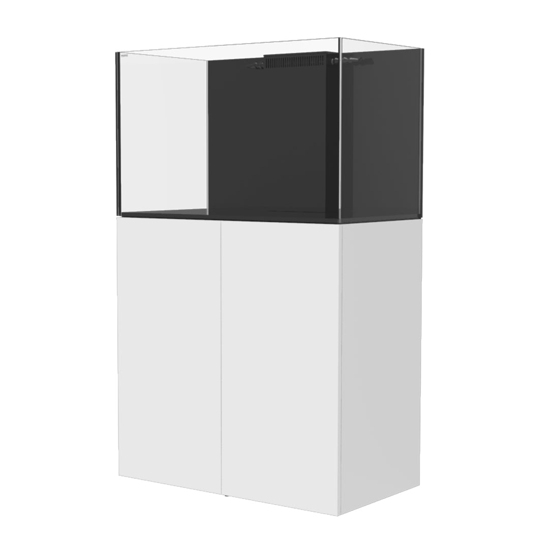 Marine X 90.3 Aquarium Setup (Updated 2023 Version)
