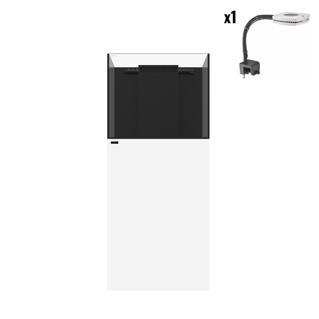Marine X 60.2 Aquarium Setup (Updated 2023 Version)