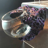 Magnetic Mushroom and Anemone Rock Display - Aqua Rocks