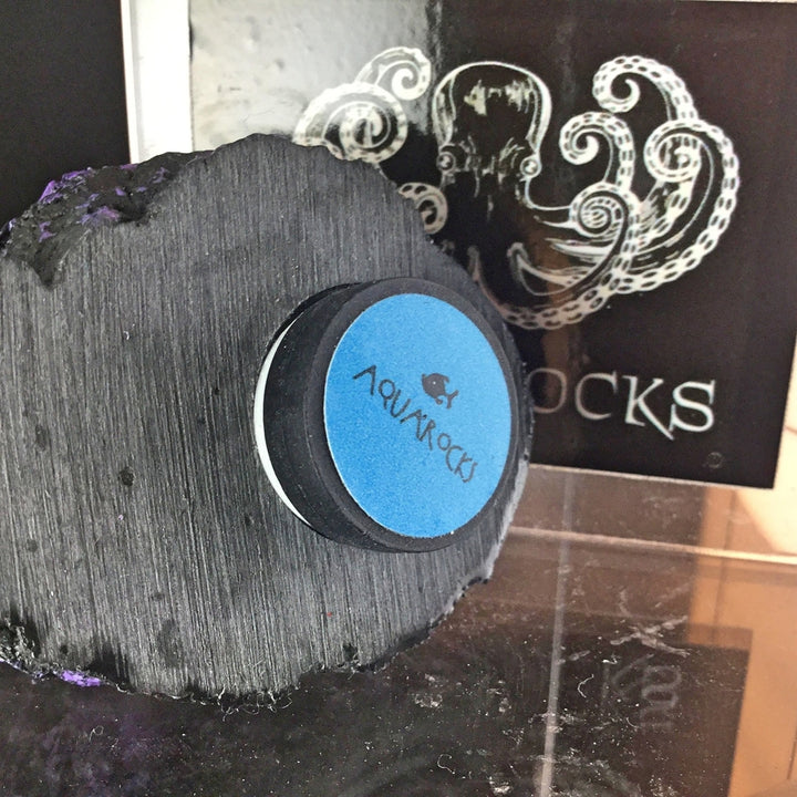 Magnetic Single Plug Rock Frag Display (3 pack) - Aqua Rocks