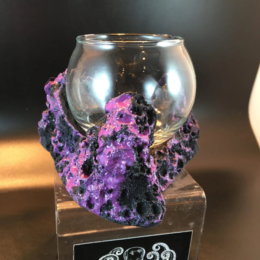 Sandbed Mushroom and Anemone Rock Display - Aqua Rocks