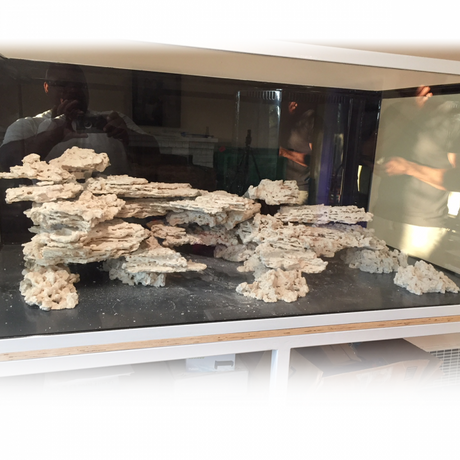 Marco Rock Foundation Piece