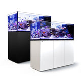 Red Sea Reefer Peninsula 650 System