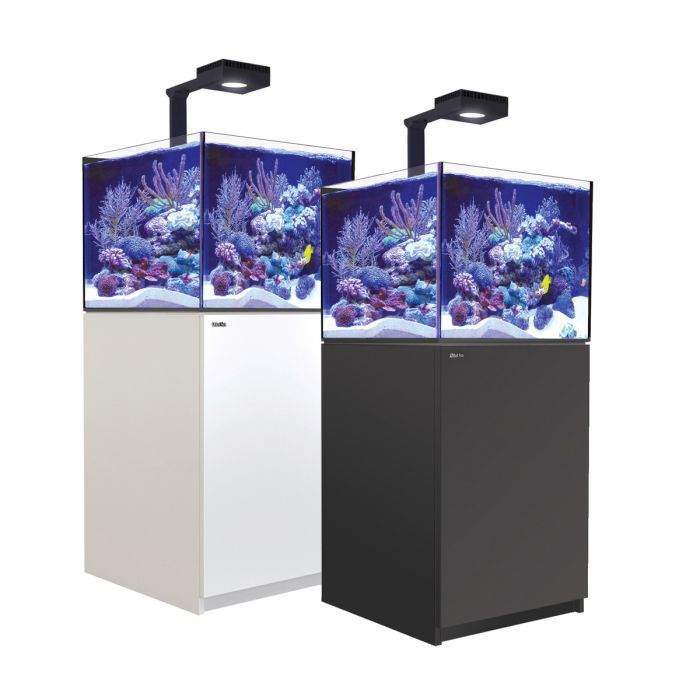 Red Sea Reefer XL200 Complete Setup – New Wave Aquaria