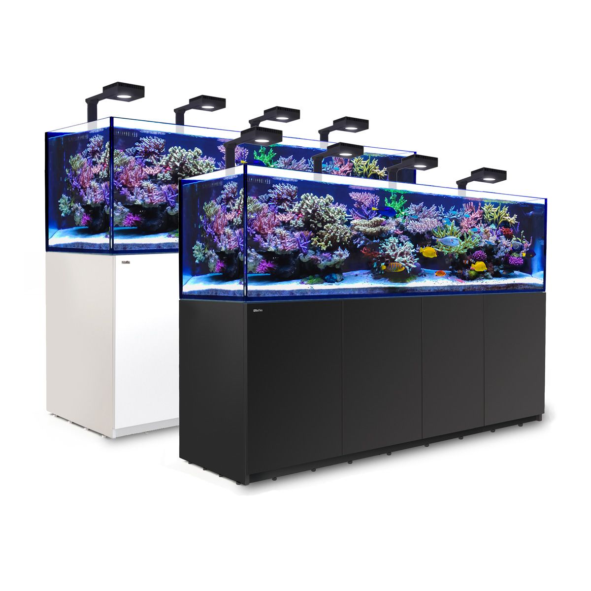 Reefer Deluxe 3XL 900 System (240 gal)