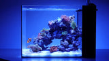 Waterbox Peninsula Mini AIO Aquarium Setup